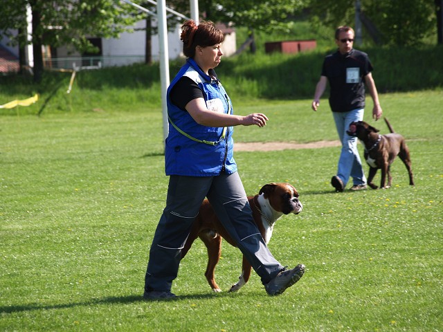 www.atibox.net * www.euroboxer.eu * www.boxergenealogia.eu